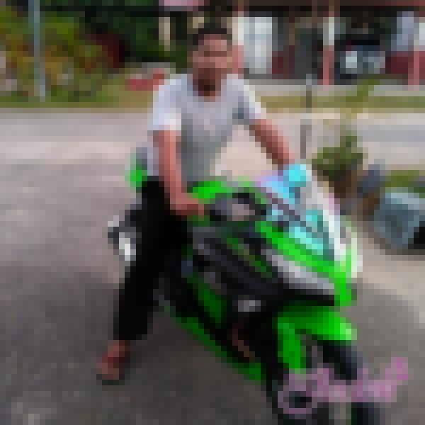 myj533530