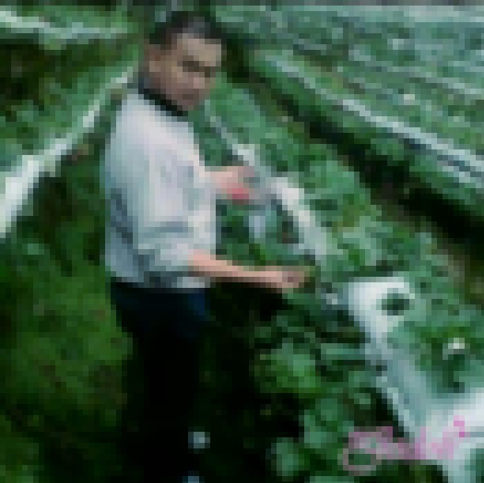 aqim