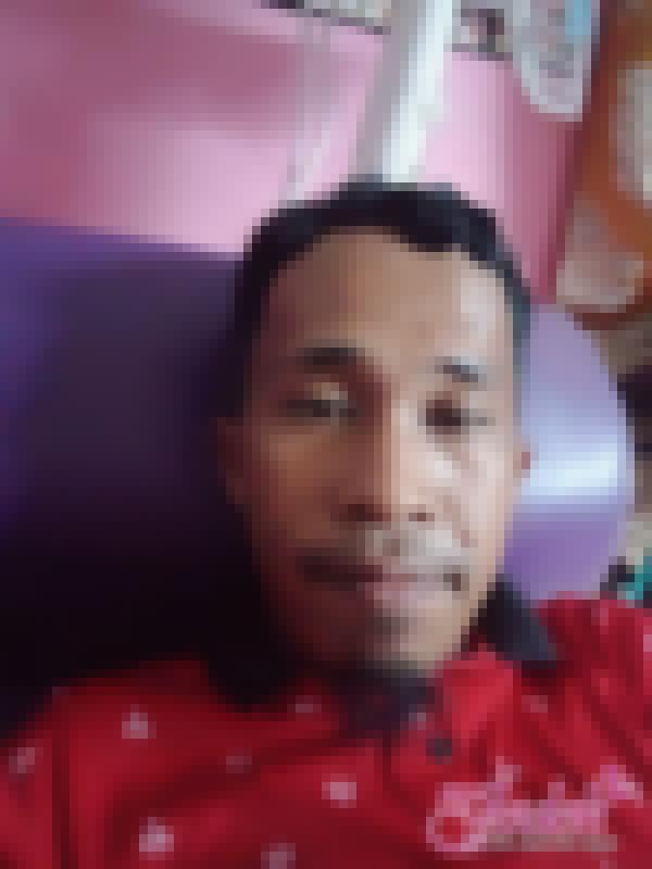 myjd31213